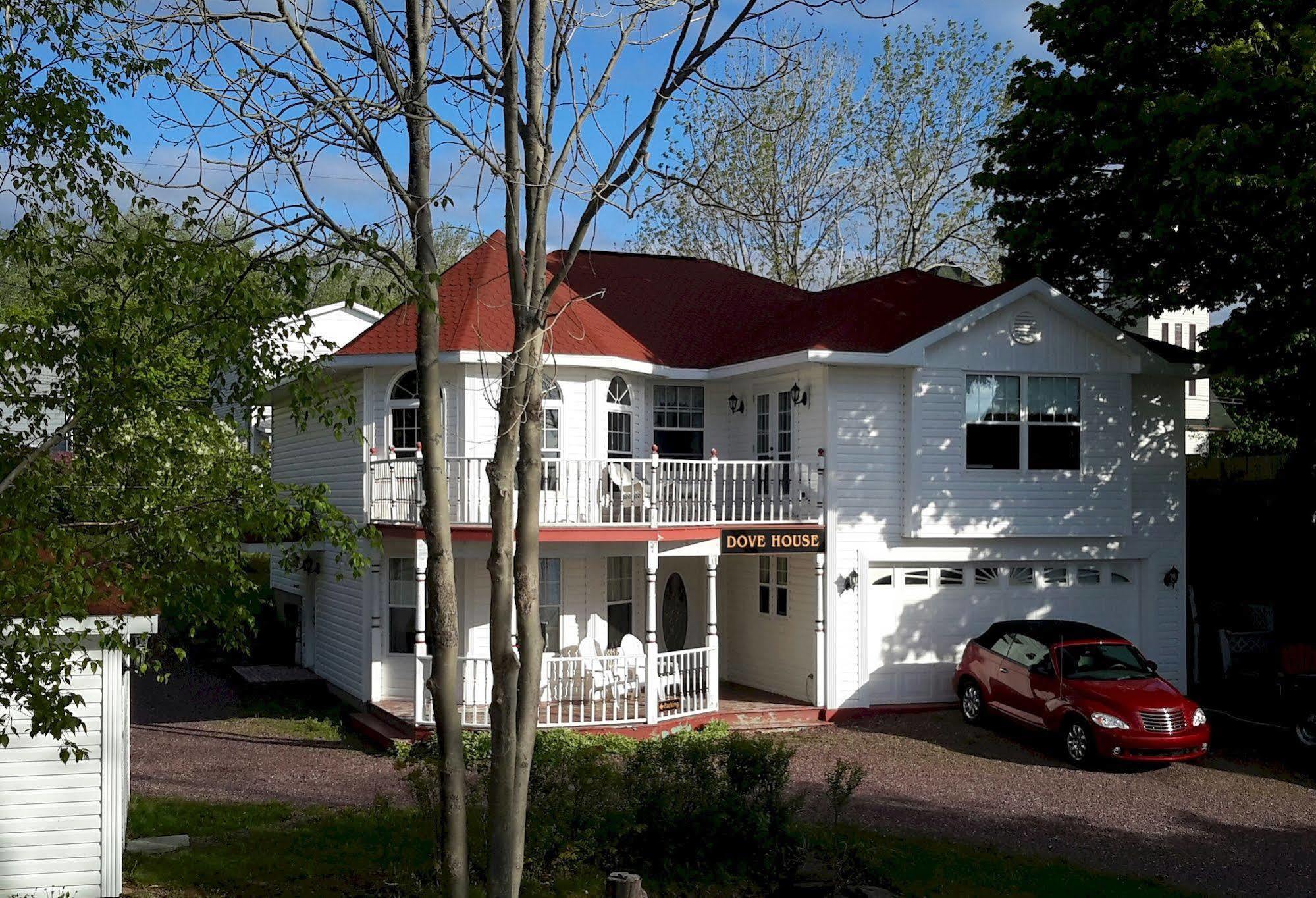 Dove House Bed & Breakfast Harbourside 北悉尼 外观 照片
